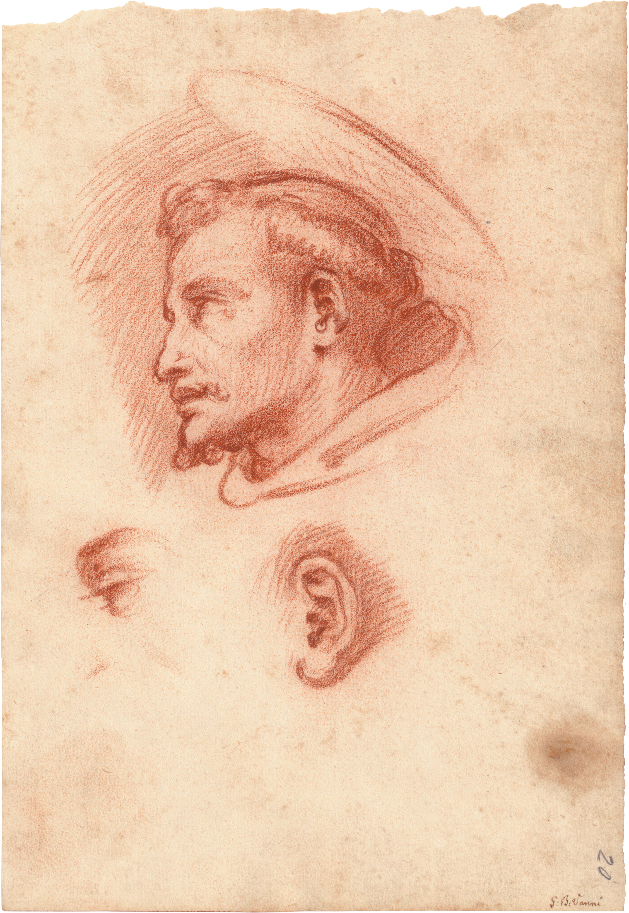 14_Vanni_drawing Study sheet with the head of St. Francis of Assisi