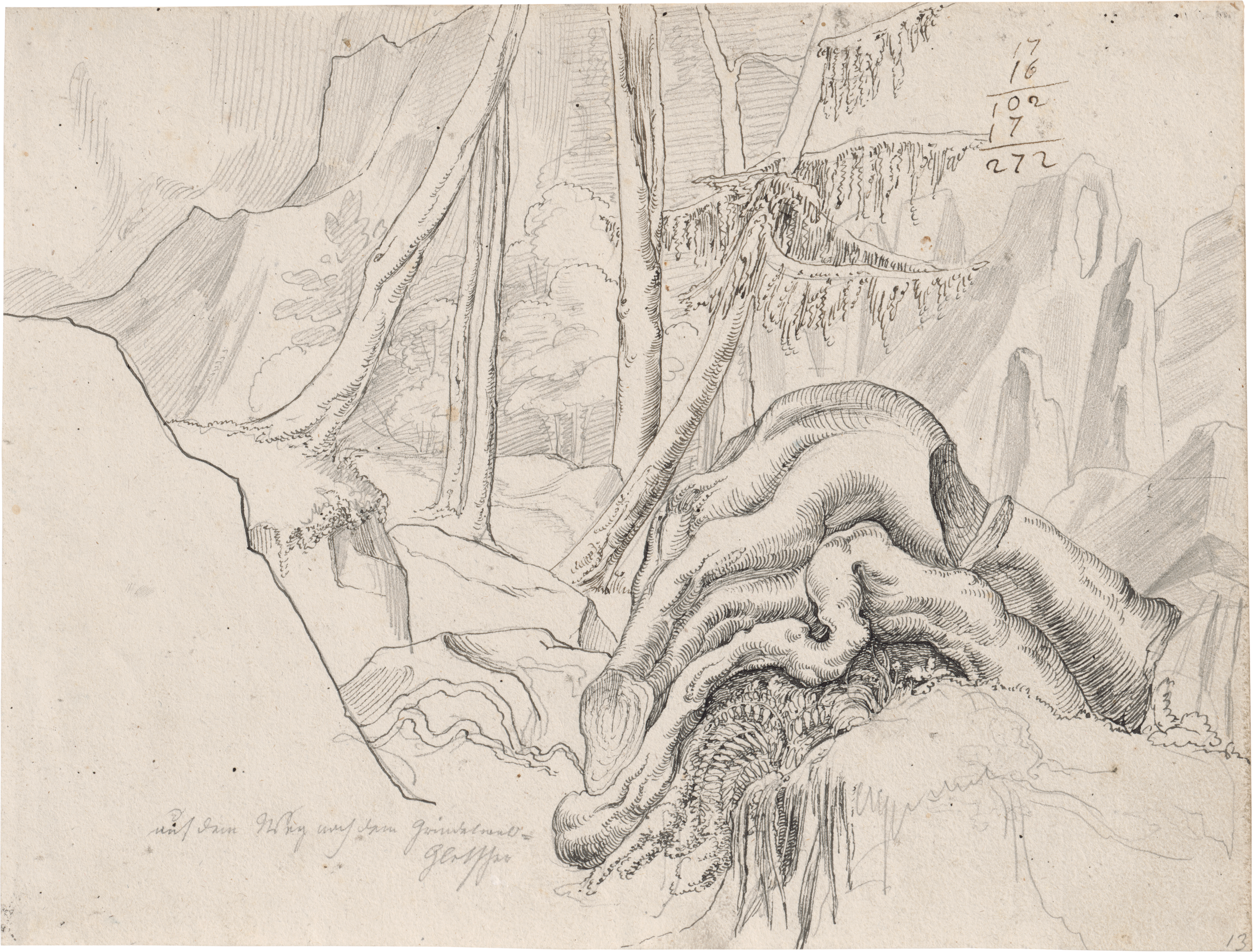 38_von Rohden_drawing Woodland Scene with Tree Roots on the Way to the Grindelwald Glacier