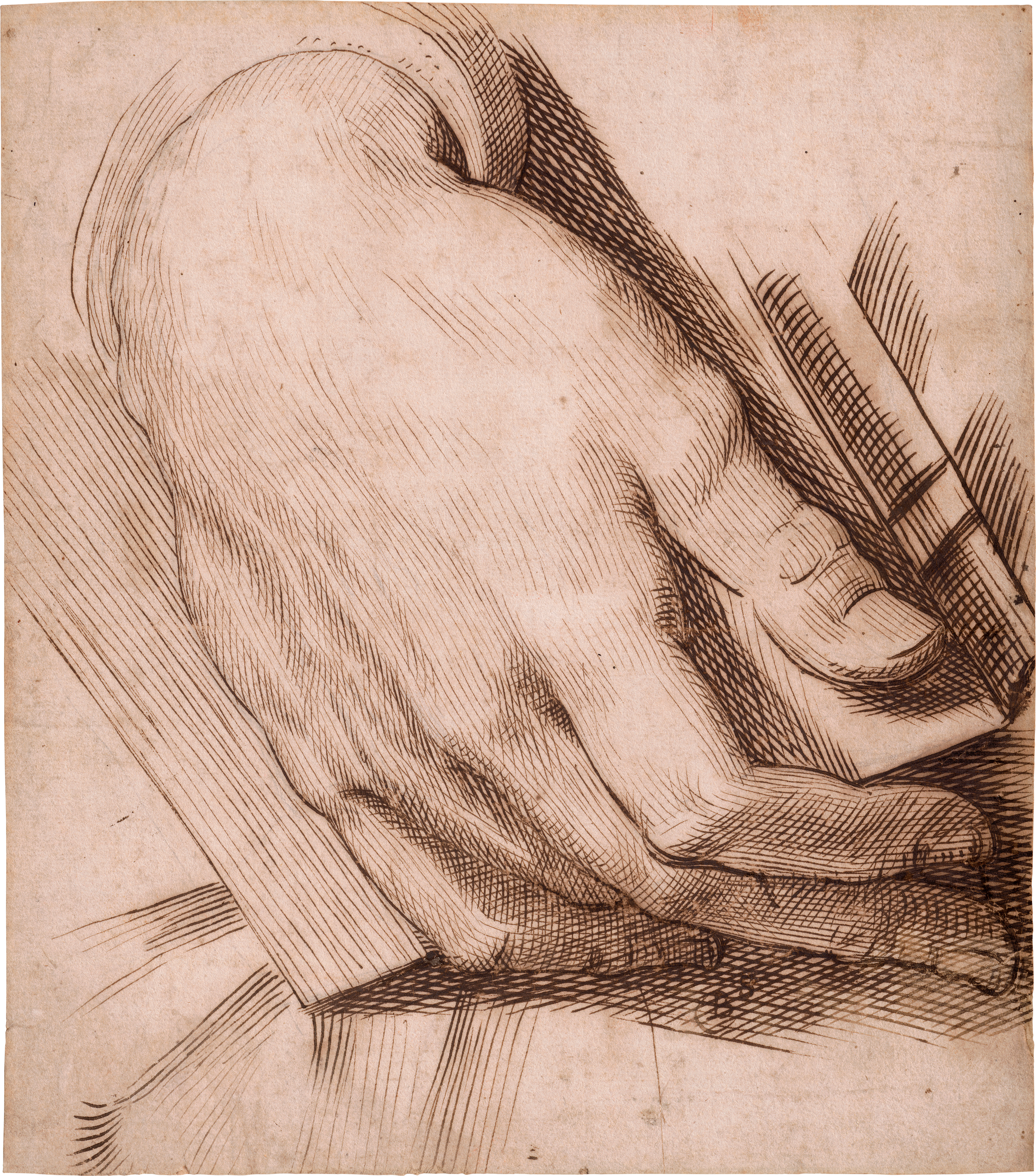 04_Passarotti_drawing Study of a Man’s Hand Holding a Book