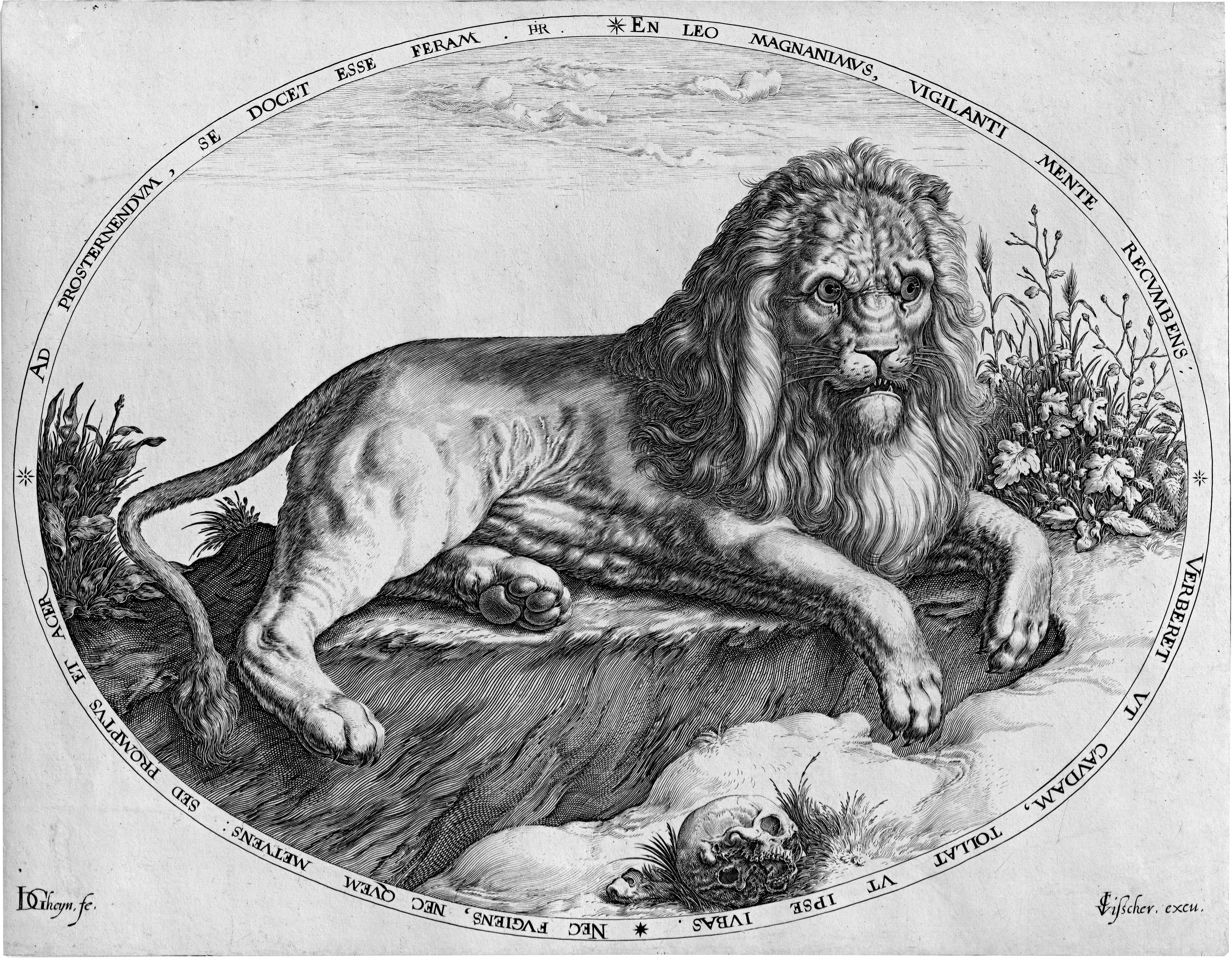Gheyn_print The Large Lion
